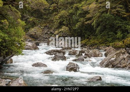 Bergiger Monkey Creek, der durch eine beeindruckende Landschaft neben dem Milford Sound Highway, Südinsel Neuseelands, fließt Stockfoto