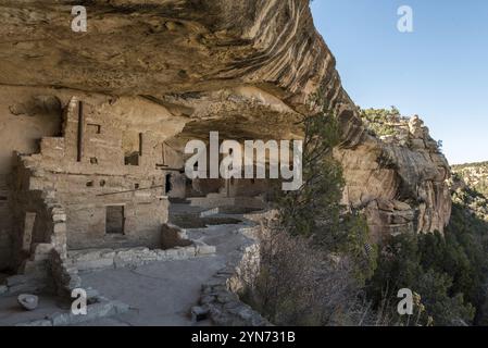 Berühmte antike Wohnhäuser der amerikanischen Ureinwohner im Mesa Verde National Park, USA, Nordamerika Stockfoto