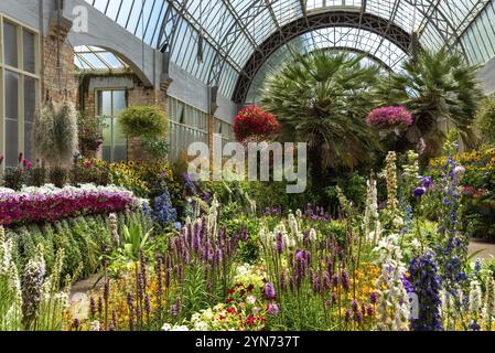 AUCKLAND, NEUSEELAND, 28. JANUAR 2023, wunderschöne Blumen in den Domain Wintergarden in Auckland, Neuseeland, Ozeanien Stockfoto