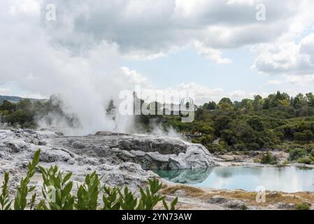 Geothermie-Feld mit Geysir im Dorf Whakarewarewa, Nordinsel Neuseelands Stockfoto