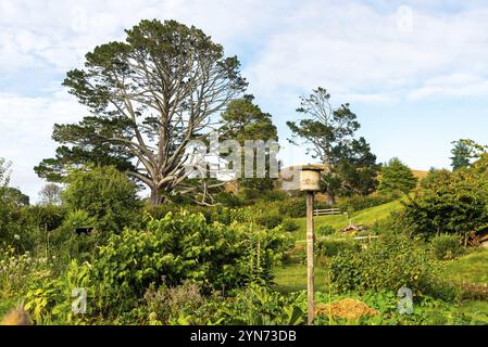 HOBBITON, NEUSEELAND, 20. JANUAR 2023, berühmtes Dorf Hobbiton in Matamata aus den Filmen der Hobbit und Herr der Ringe, Neuseeland, Ozeanien Stockfoto