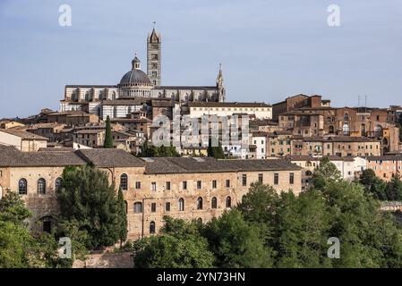 Panoramablick auf die historische Stadt Siena und ihre Kathedrale, Italien, Europa Stockfoto