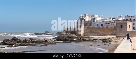 Skyline der Medina Essaouira, von der Scala du Port aus gesehen, Marokko, Afrika Stockfoto