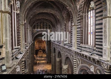 SIENA, ITALIEN, 23. SEPTEMBER 2023, Blick auf das Schiff der Kathedrale von Siena, von der oberen Etage aus gesehen Stockfoto