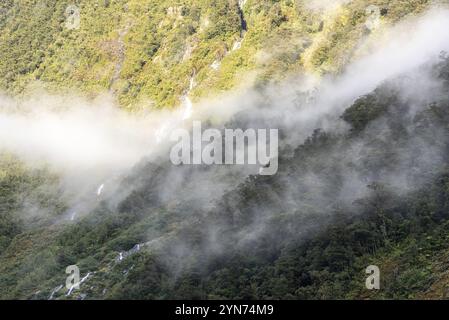 Ein neuer Morgen dämmert am Doutful Sound, Wolken hängen tief in den Bergen, Südinsel von Neuseeland Stockfoto