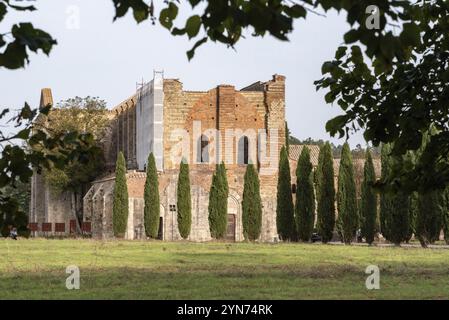 Ruine des mittelalterlichen Zisterzienserklosters San Galgano in der Toskana, Italien, Europa Stockfoto