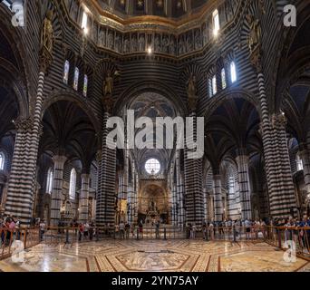 SIENA, ITALIEN, 23. SEPTEMBER 2023, große mittelalterliche Architektur des Kirchenschiffs von Siena, Italien, Europa Stockfoto