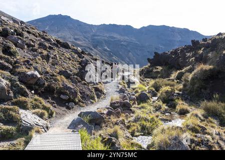 Wandern auf dem Tongariro Alpine Crossing, Northern Circuit des Tongariro National Park in Neuseeland Stockfoto