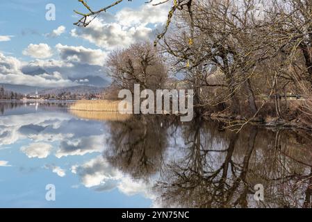 Malerische Reflexion der Vegetation am Schliersee in Bayern, Deutschland, Europa Stockfoto