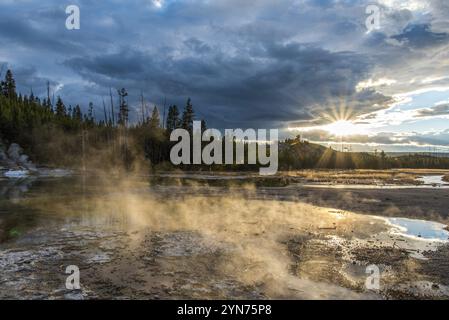 Dampfbad Mud Pod im berühmten Yellowstone National Park, USA, Nordamerika Stockfoto