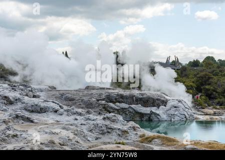 Geothermie-Feld mit Geysir im Dorf Whakarewarewa, Nordinsel Neuseelands Stockfoto