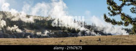 Dampfende Schlammtöpfe am frühen Morgen im Yellowstone-Nationalpark, USA, Nordamerika Stockfoto