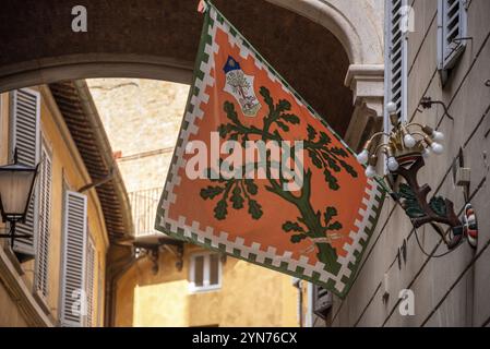 SIENA, ITALIEN, 23. SEPTEMBER 2023, Contrade-Flagge des Stadtviertels Selva-Rhino hängt in einer Straße in der Innenstadt von Siena, Italien, Europa Stockfoto