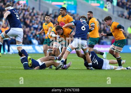 Edinburgh, Schottland. November 2024. Angus Bell wird von Jamie Ritchie während des berühmten Grouse Nations Series-Spiels zwischen Schottland und Australien im Scottish Gas Murrayfield Stadium in Edinburgh angegriffen. Quelle: Connor Douglas/Alamy Live News Stockfoto