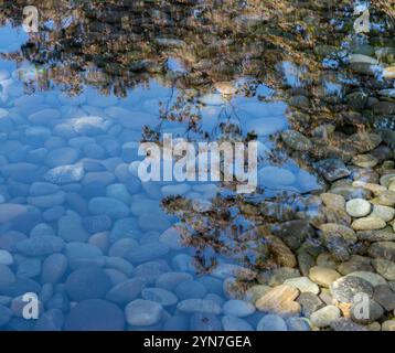 Mehrfarbige Kieselsteine im Wasser Stockfoto