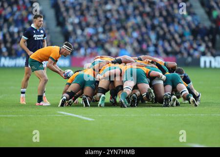 Edinburgh, Schottland, Vereinigtes Königreich, 24. November 2024 - Australien bekommt beim Versuch den „Put in“. Schottland gegen Australien in Murrayfield, Edinburgh.- Credit: Thomas Gorman/Alamy Live News Stockfoto