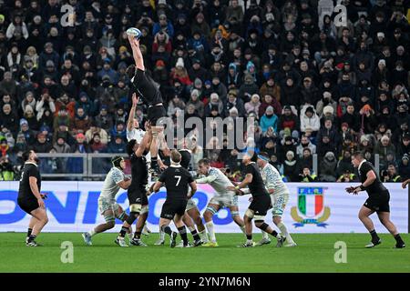 Turin, Italien. November 2024. Turin, Italien - 23. November: Rugby - Autumn Nations Series 2024 Spiel zwischen Italien und Neuseeland im Allianz Stadium am 23. November 2024 in Turin, Italien. Neuseeland gewinnt den Throw-in (Foto: Tonello Abozzi/Pacific Press) Credit: Pacific Press Media Production Corp./Alamy Live News Stockfoto