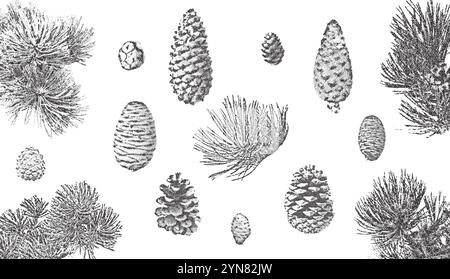 Fichtenzweige und -Kegel Set. Weihnachtsstipplings Fotokopie Illustration Stock Vektor