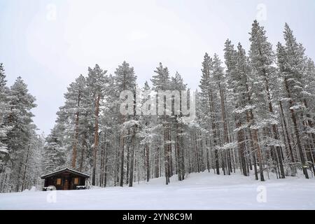 Jokkmokk, Schweden. April 2021. Eine Holzhütte ist in der Mitte eines Kiefernwaldes bei einem Schneefall in Jokkmokk, Schwedisch-Lappland, zu sehen. Schweden macht rund 18 % der gesamten Waldfläche der Europäischen Union aus. 70 % des schwedischen Territoriums sind von Wäldern bedeckt. (Foto: Apolline Guillerot-Malick/SOPA Images/SIPA USA) Credit: SIPA USA/Alamy Live News Stockfoto