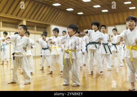 Kinder, die Karate üben Stockfoto