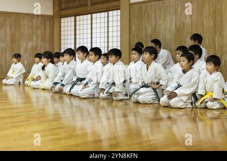 Kinder, die Karate üben Stockfoto