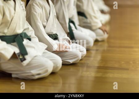 Kinder, die Karate üben Stockfoto