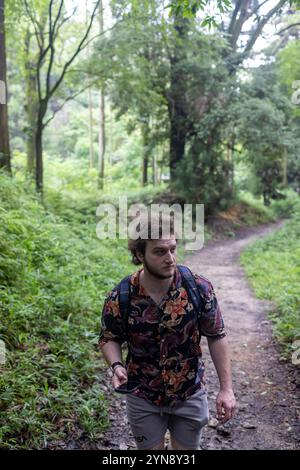 Man erkundet den üppigen Waldweg an einem schönen Tag Stockfoto