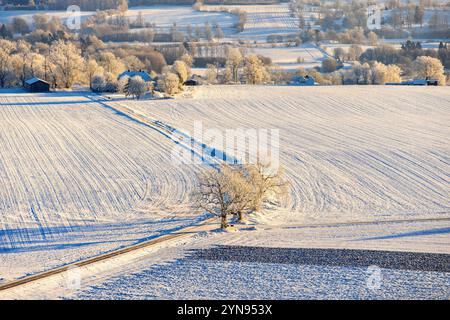 Aus der Vogelperspektive auf einer Landstraße auf verschneiten Feldern mit frostigen Bäumen in einer winterlichen Landschaft Stockfoto