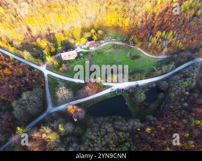 Blick auf das grüne Feld im Wald zur Herbstzeit von der Drohne Stockfoto