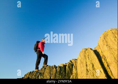 Ein Spaziergang über dem Windermere Lake am Todd Crag im Dawn Lake District, Großbritannien. Stockfoto