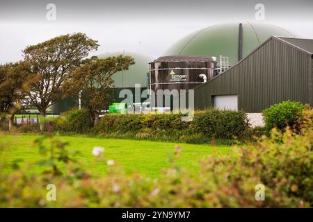 Tanks bei Farmgen anaerober Biodigester Stockfoto