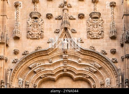 Raffinierte Steindetails zieren den Eingang der Kathedrale in Salamanca und zeigen die reiche Geschichte und Handwerkskunst der Stadt. Stockfoto