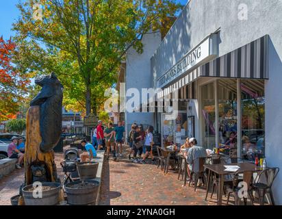 Nighthawk Tavern am Public Square, Dahlonega, Georgia, USA Stockfoto