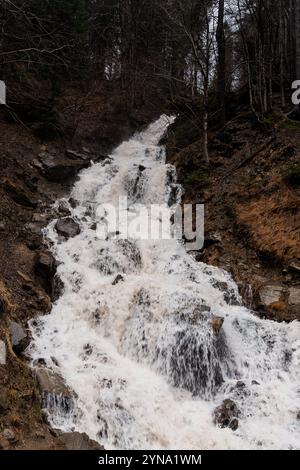 Majestätischer Wasserfall, der durch felsiges Gelände inmitten eines üppigen Waldes fließt. Stockfoto