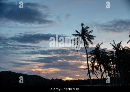 Wunderschöner Sonnenuntergang über Guam mit Palmen, die vor einem bunten Himmel stehen Stockfoto