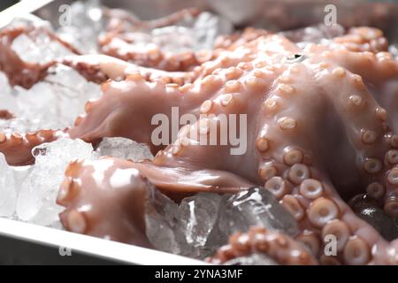 Ganze frische, rohe Oktopus auf Eis, Nahaufnahme Stockfoto