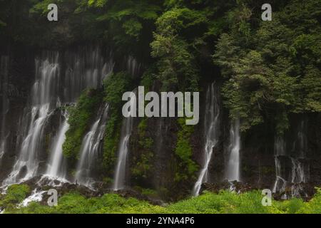 Shiraito Wasserfälle im Frühling in Japan Stockfoto