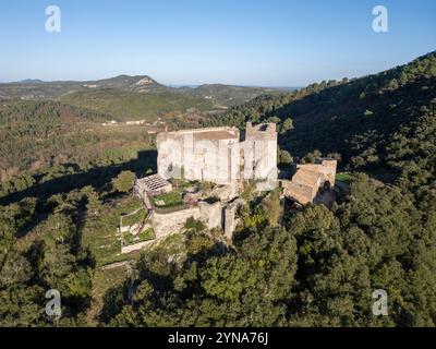 Frankreich, Gard, Molieres sur ceze, Burg Montalet aus dem 11. Und 12. Jahrhundert (aus der Vogelperspektive) Stockfoto