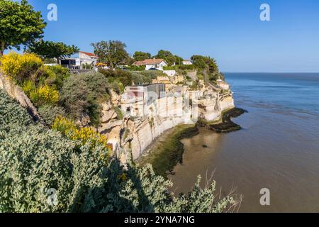 Frankreich, Charente-Maritime, Saintonge, Côte de Beauté, Mündung der Gironde, Meschers-sur-Gironde, Klippen von Troglodytenwohnungen der Höhlen von Regulus Stockfoto