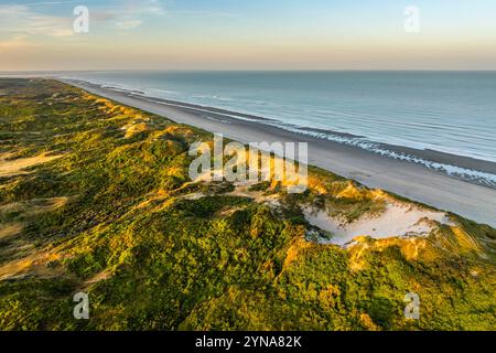 Frankreich, Somme, Somme Bay, Quend-Plage, Marquenterre, Quend-Plage in der Mitte der Dünen bei Sonnenaufgang (aus der Vogelperspektive) Stockfoto