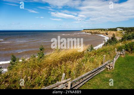 Kanada, Provinz New Brunswick, akadische Küste, Region Caps, Pokeshaw, Provinzpark Stockfoto