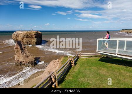 Kanada, Provinz New Brunswick, akadische Küste, Region Caps, Pokeshaw, Provincial Park, Le Rocher, eine lokale Attraktion Stockfoto