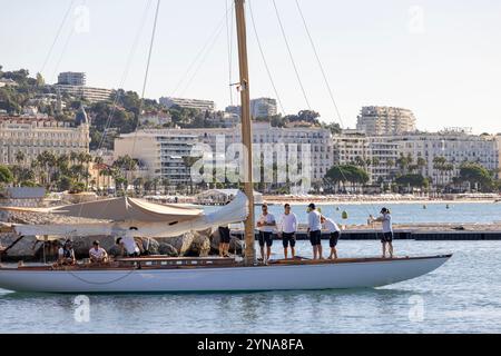 Frankreich, Alpes-Maritimes, Cannes, die Régates Royales, jährliche klassische Segelregatten Stockfoto