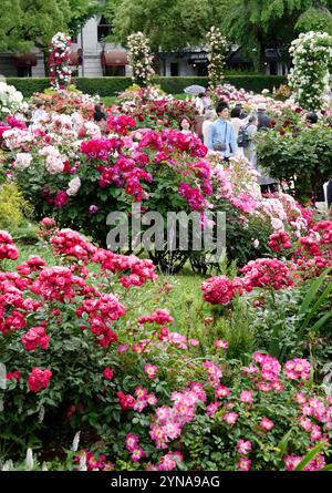 Japan, Honshu Island, Kanto, Tokio, Kanagawa, Yokohama, der Yamashita Park Stockfoto