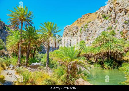 Griechenland, Kreta, Blick auf den Fluss Megalopotamos und Preveli Palmenwald, Rethymnon Stockfoto