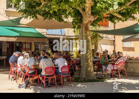 Frankreich, Drôme, Drôme provenzalische, Saoû, schattige Terrasse unter einer Platane des Restaurants L' Oiseau sur sa Branche Stockfoto