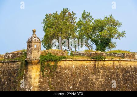 Portugal, nördliche Region, Valenca do Minho, Etappe auf dem portugiesischen Zentralweg, einer der Wege in Richtung Santiago de Compostela, Festung aus dem 16. Bis 17. Jahrhundert Stockfoto