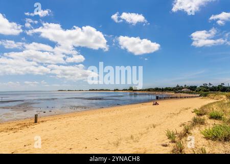 Frankreich, Charente-Maritime, île d'Oléron, Saint-Pierre-d'Oléron, Fort-Royer, Sandküste des Naturschutzgebiets Moëze-Oléron Stockfoto