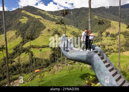 Kolumbien, Quindio Department, kolumbianische Kaffee-Kulturlandschaft UNESCO-Weltkulturerbe, Los Nevados National Natural Park, Cocora Valley, Wachspalmen (Ceroxylon quindiuense) Stockfoto