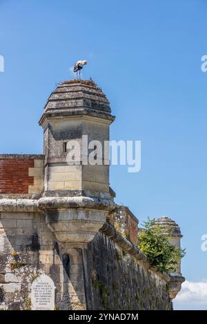 Frankreich, Charente-Maritime, Saintonge, Brouage, beschriftet Les Plus Beaux Villages de France, ein Störch hat sein Nest auf einem Turm der Befestigungsanlagen errichtet, Weißstörche (Ciconia ciconia), die seit 1978 in der Region brüten, kommen nach dem Elsass an zweiter Stelle für den Empfang von Störchen Stockfoto